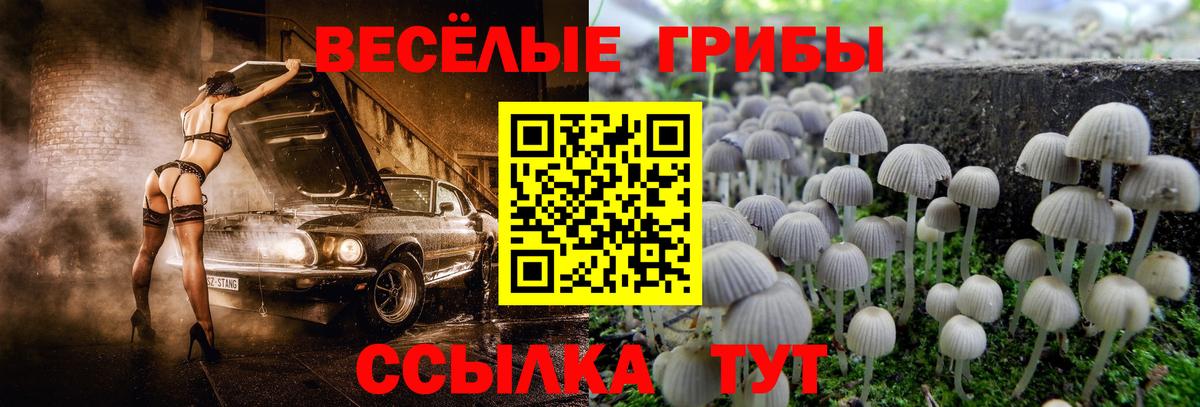 Псилоцибиновые грибы GOLDEN TEACHER Спасск-Дальний