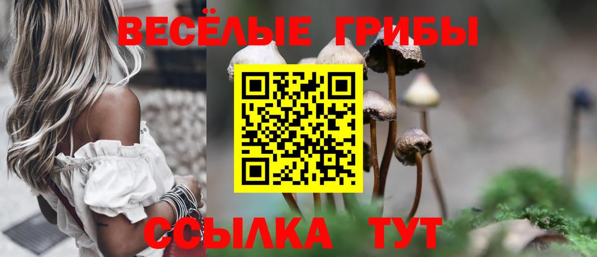 что такое   Галлюциногенные грибы MAGIC MUSHROOMS  Вход с VPN  Спасск-Дальний  Галлюциногенные грибы Psilocybe 